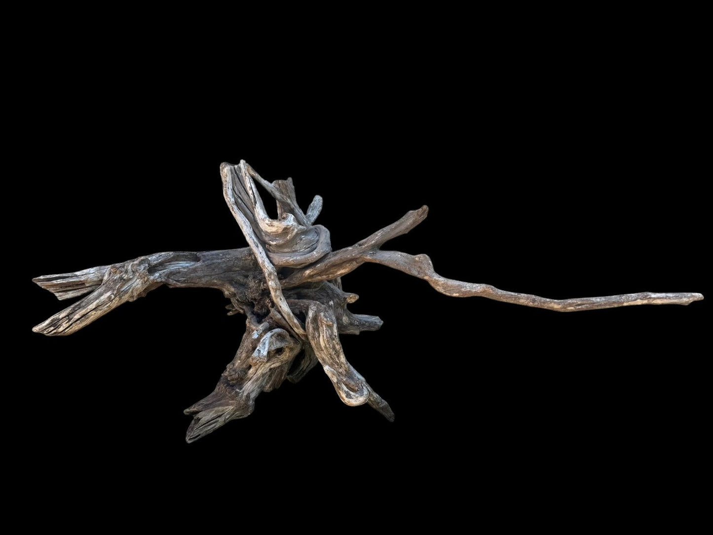 Drift Wood - 54*27*30 - cod.110 AQPET