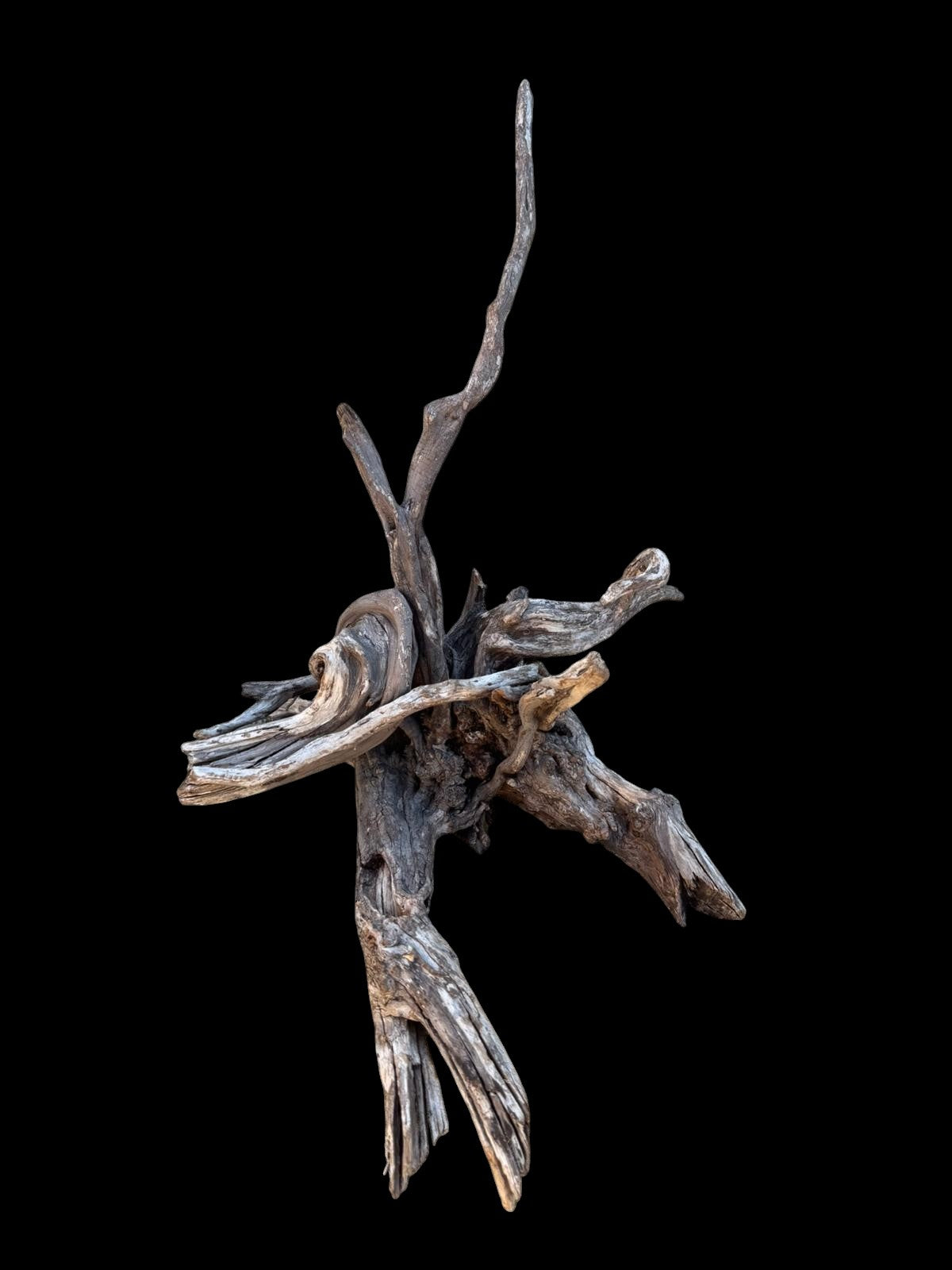 Drift Wood - 54*27*30 - cod.110 AQPET