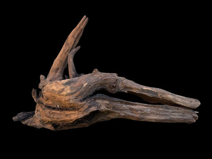 Drift Wood - 20*14*25 - cod.097 AQPET