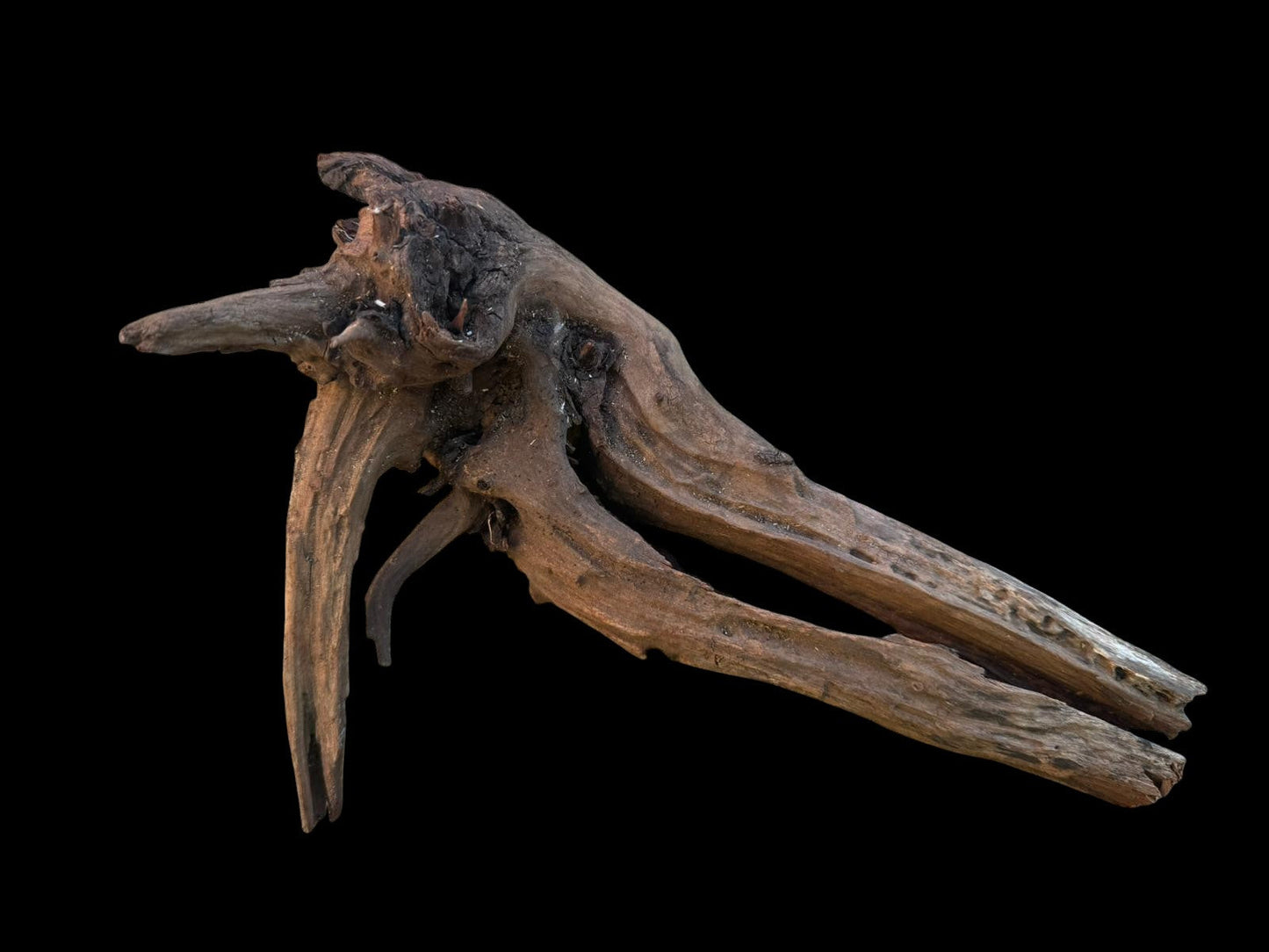Drift Wood - 20*14*25 - cod.097 AQPET