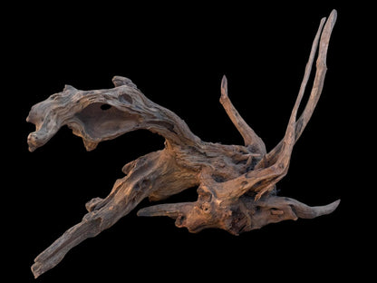 Drift Wood - 49*31*39 - cod.102 AQPET
