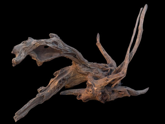 Drift Wood - 49*31*39 - cod.102 AQPET