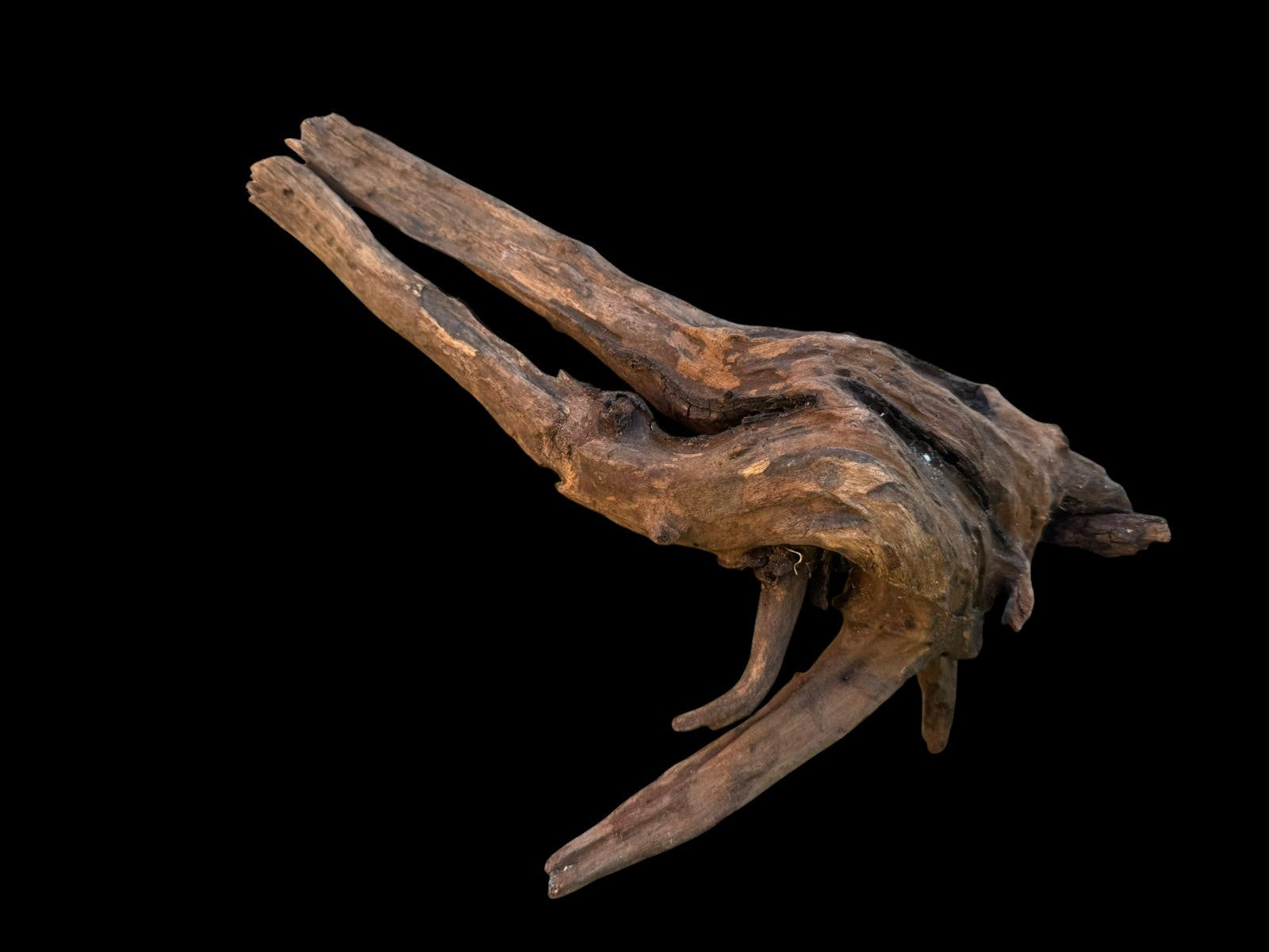 Drift Wood - 20*14*25 - cod.097 AQPET