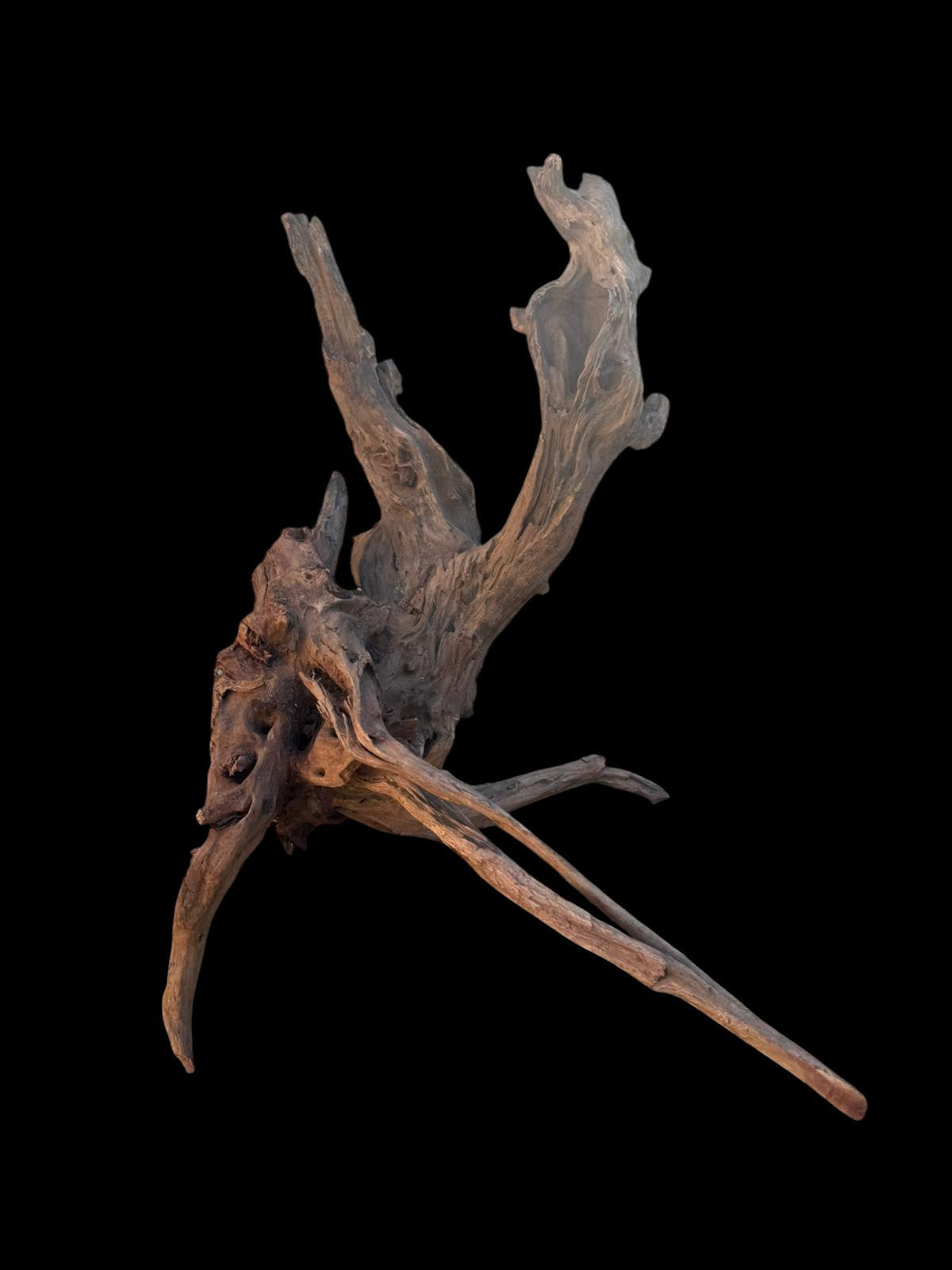 Drift Wood - 49*31*39 - cod.102 AQPET