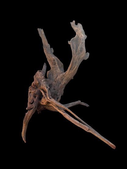 Drift Wood - 49*31*39 - cod.102 AQPET