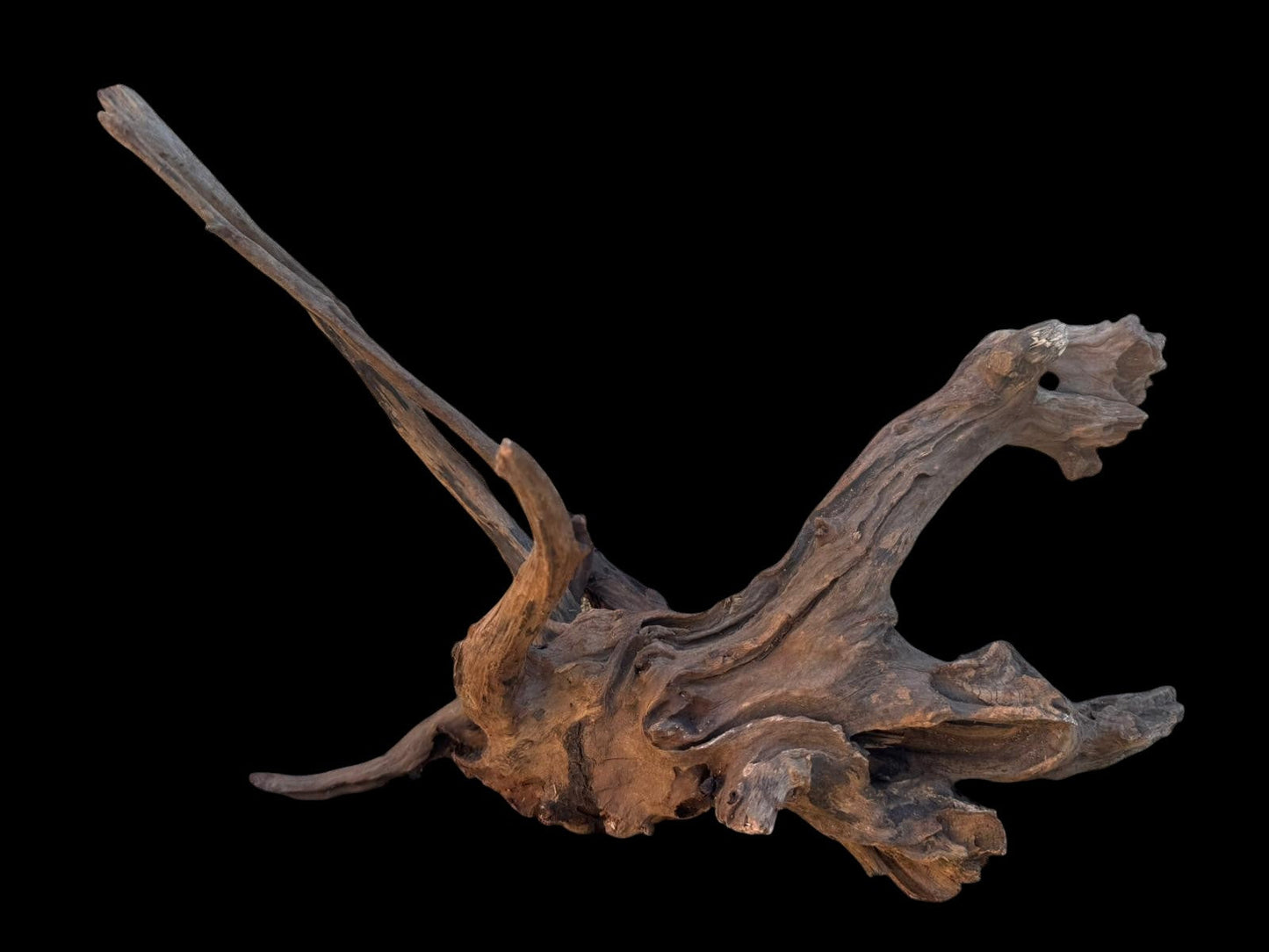 Drift Wood - 49*31*39 - cod.102 AQPET