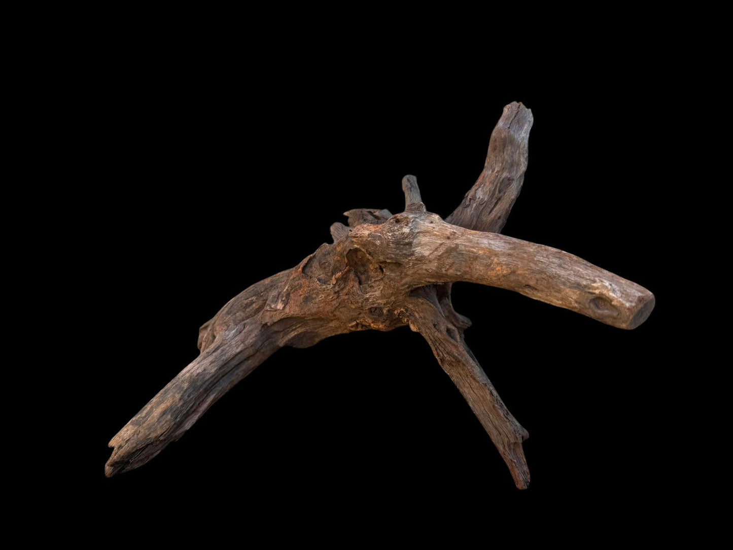 Drift Wood - 40*17*23 - cod.098 AQPET