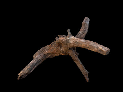 Drift Wood - 40*17*23 - cod.098 AQPET