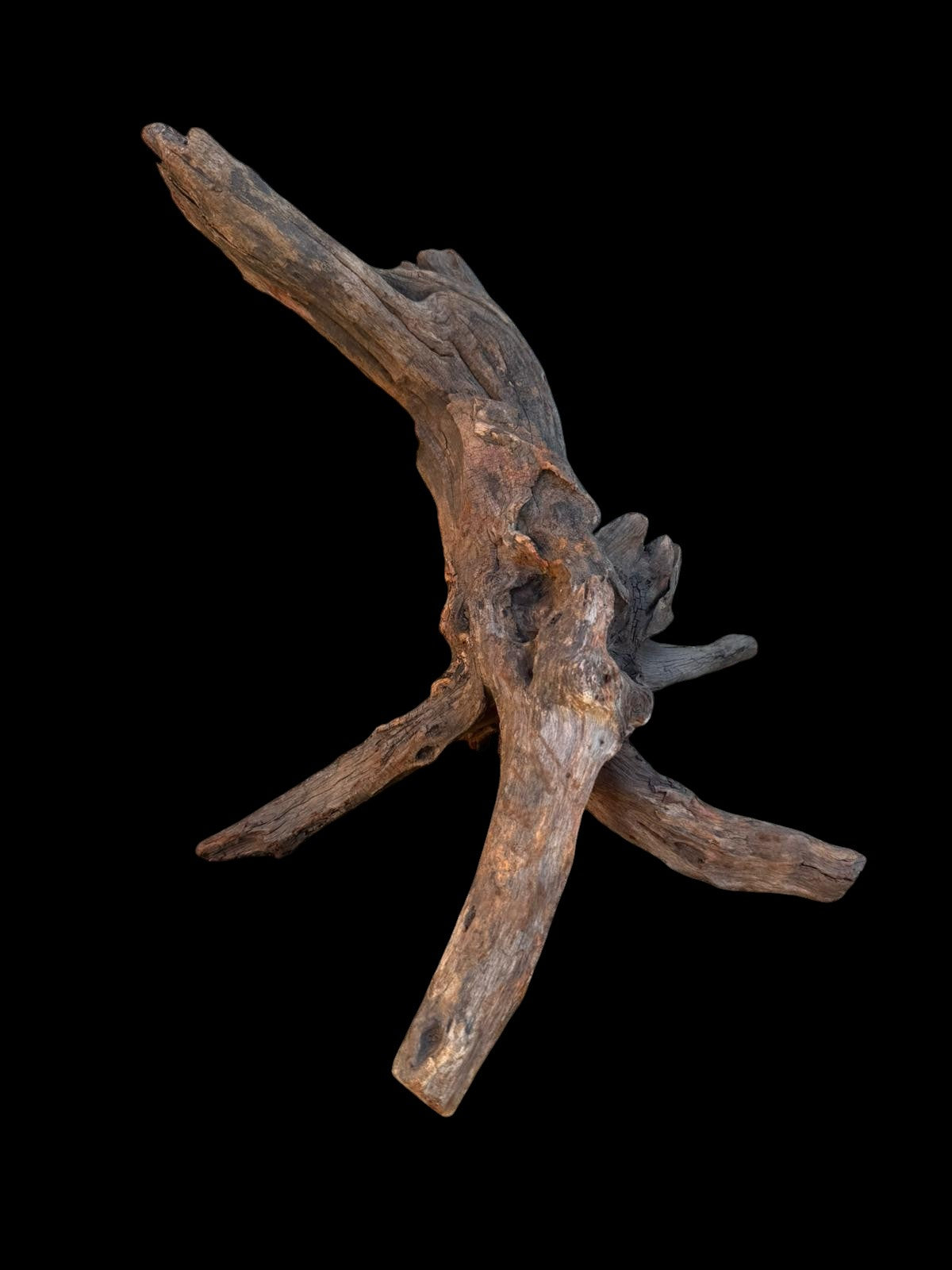 Drift Wood - 40*17*23 - cod.098 AQPET