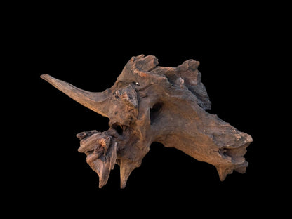 Drift Wood - 48*21*23 - cod.101 AQPET