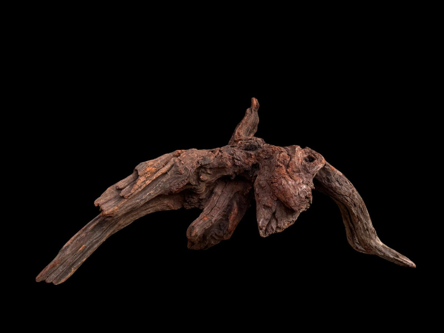 Drift Wood - 48*18*25 - cod.045 AQPET